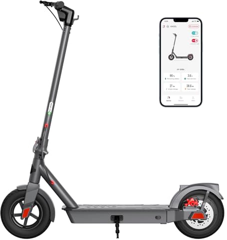 SISIGAD Elektroroller für Erwachsene, 10 Zoll (25 cm), mit App, maximale Reichweite 42 km, Akku 36 V, 10,4 Ah, faltbar, mit maximaler Geschwindigkeit 25 km/h, Motor 350 W, mit doppelter Bremse