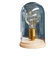 invicta INTERIOR riess-ambiente Vintage Tischlampe EDISON im Retro Stil Edison Lampe E27 Holz Glas Glaskuppel Wohnzimmerlampe Glühbirne Tischleuchte Nostalgie