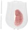 Zhuomingjia 2PCS Extra Large Reusable Sous Vide Bags, BPA Free Food Grade Silicone, For Anova, Instant Pot Immersion Circulators & Other Accessories