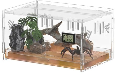 Giznzg Terrari rettili, con igrometro di temperatura, 40x25x18cm acrilico rettile Allevamento Box Terrario gabbia serbatoio per piccoli rettili insetti Home Office (Terrestrial Large)