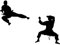 YYZOVBNN Judo Party Ninja Geburtstag Dekoration Karate Wandtattoo Design Studio Kunst Künstler Kinderzimmer Kunst Kick Slash Dekoration，57x43cm
