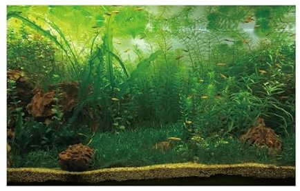 FJOADNVM Aquarium Rückwandfolie Wald Aufkleber Aquarium Hintergrund Poster Dekoration Fisch Tank Wand Lanscaping Regenwald Terrarium(GREEN4,50x100cm)