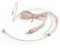 Sujeetec Headset Mikrofon Stirnband mic für Sennheiser kabellos Bodypack Transmitter Taschensender - Ideal für Vorträge, Theater, Podcasts - 3,5 mm Schraubverschluss Stecker
