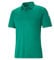 PUMA Herren Teamliga Sideline Polo Shirt, Grün, L EU