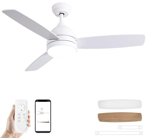 SODSEA 48 Inch Low Profile Ceiling Fan