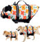 Schwimmweste Hund, FainFun Schwimmweste Hund Orange, für Klein und Groß Hunde Ripstop und Reflektierende, Verstellbare Größe mit Starkem Auftrieb und Schwimmen Rettungsgriff (Blume, M)