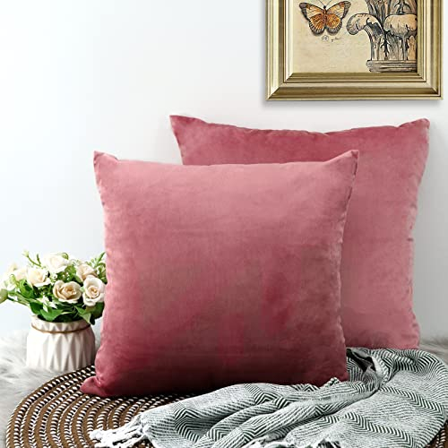CALIYO Kissenbezug 50x50, Samt Uni Kissenhülle, Kissenbezüge für Zierkissen Dekokissen Sofakissen Couchkissen viele Farben (50x50 cm, Rosa).