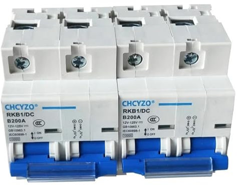 PUCHEN Coupe Circuit Voiture Disjoncteur de Batterie Solaire, 12V 24V 36V 48V 60V 72V 96V 120V 2p DC, 80A/100A/125A/200A/250A, interrupteurs à Air (Size : 2P, Color : 125A)