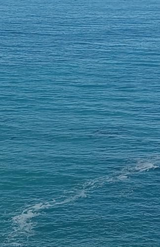 Ever Adrift: Down North