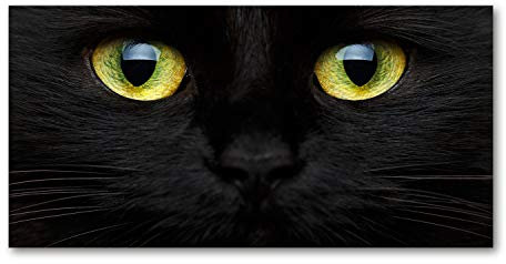 Tulup Impression sur Verre de 120x60 cm Image Tableau Photo décorative panoramique pour la Cuisine et Le Salon - Animaux - Les Yeux du Chat - Jaune