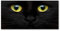 Tulup Impression sur Verre de 120x60 cm Image Tableau Photo décorative panoramique pour la Cuisine et Le Salon - Animaux - Les Yeux du Chat - Jaune