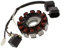 JMP Lichtmaschine Stator für Aprilia Atlantic 125 UVM. Motorrad