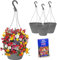 Hanging Baskets 3 Growing Basket Kit with Beautiful Baskets Seeds by Jamieson Brothers