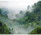 decomonkey - Papier Peint Panoramique Adhésif Foret Nature 343x256 cm - Stickers Muraux Salon Chambre Déco XXL Autocollant Bureau - Gris blanc - Pluie des arbres jungle forêt brouillard paysage