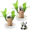 2 Plantas de Madera de la Suerte Brasileña, Madera de la Suerte de Brasil, Juego de Plantas de Madera de la Suerte de Brasil con Maceta y 2 Adornos de Panda, Tocón de Planta Hidropónica en Maceta