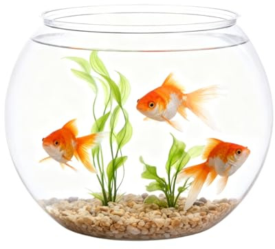 Fish Bowl Vase, Space Saving Clear Aquarium Accessories, Decorative Transparent Fishs Tank, Small Aquarium Container, Clear Bubble Planter Fish Bowl, for Party Decorations Home Event Indoor