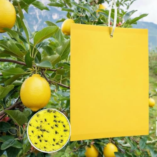 60 Pezzi Trappole Acchiappa Ciliegio Mosche, Mosca Dell'olivo Trappole Appiccicose Gialle Bilaterali per Insetti Volanti per Olivo, Afidi, MosceriniFungini, e Mosche Bianche，Trappola Adesiva per Mosch