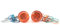 BLINKER HINTEN KOMPLETT in ORANGE für LINTEX BENZHOU YIYING YY50QT-21 - FIRENZE 50 - ZNEN RETRO CRUISER ZN50QT-E - FOSTI 50 FT50QT-E und baugleiche CHINA RETRO CRUISER ROLLER GY6