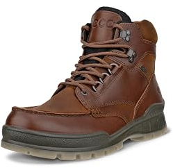 ECCO Men's Track 25 High GORE-TEX Waterproof Hiking Boot, BISON LEATHER/BISON NUBUCK, 9-9.5