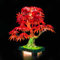 LocoLee Led Light Set Compatible with Lego 10348 Japanese Red Maple Bonsai Tree Led Decoration Lighting Kit Compatible with Lego 10348 Building Blocks Model,Only Lights Set,No Model
