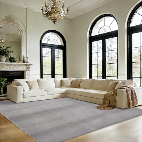 Novalife Teppich Kurzflor Teppich für Wohnzimmer,Weich Waschbarer & Anti-Rutsch Modern Shaggy Carpet für Schlafzimmer, Kinderzimmer