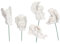 Cyrank Mini Cupidon Statue 5pcs, Figurine Ange, Statue d'ange, Statuette d'ange en résine, Mini Résine Ange Sculpture Mignon Miniature Ange Jardin Enjeux Affichage Ornement Bureau Figurines Décor