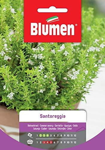Blumen