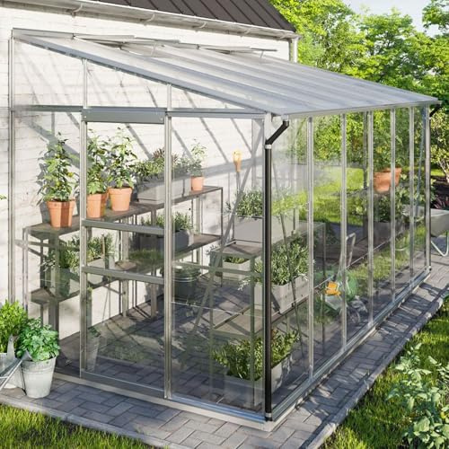 Vitavia Anlehn-Gewächshaus Ida 7800, Aluminium eloxiert, 7,8 m², 3 mm ESG/6 mm HKP | Wetterfestes & stabiles Wand-Gewächshaus zur Pflanzenanzucht | Treibhaus für Gemüse, Kräuter & Blumen