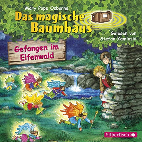 Gefangen im Elfenwald: Das magische Baumhaus 41