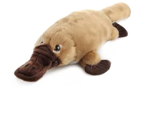 lilizzhoumax Schnabeltier Kuscheltier 35cm Kawaii Realistische Weiches Schnabeltier Plüschtier Plüsch Stofftier Spielzeug Kissen Dekoration Geburtstagsgeschenke für Kinder und Babys Mädchen Jungen
