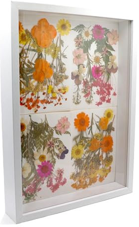 CiciIng Marco de fotos 3D de 20 x 29 cm, A4, marco de madera con placa acrílica transparente, marco de objetos, más profundo para rellenar, para fotos, flores, recuerdos, obras de arte DIY (blanco)