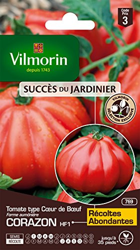 Vilmorin Tomate Cœur de Bœuf | Jardin, Légumes, Graines, Semence, Tomate, Résistante aux maladies