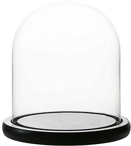 WHOLE HOUSEWARES Dôme en Verre Transparent - Cloche en Verre avec Base en MDF Noir - Centre de Table Décoratif - Vitrine Decorative pour Collection