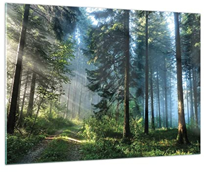 ARTTOR Glasbild 100x70cm Wandbild Glasdruck Botanik Landschaften - 4398 | Wald Dämmerung Sonne Groß Modern Dekoration Wohnzimmer Schlafzimmer Küche Wanddeko Kunstdruck Art Wall Decor ARTTOR
