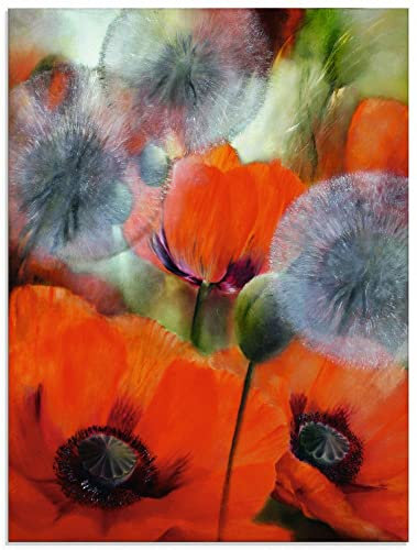 ARTland Wanddeko Glasbilder Wandbild Glas Bild einteilig 45x60 cm Hochformat Natur Pflanzen Blumen Mohnblume Mohn Pusteblume Löwenzahn Sommer U4QP