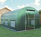 Magna One® Folien-Gewächshaus 2,5x5 m Tomatengewächshaus mit Stahlrahmen |Treibhaus Folientunnel | Folienzelt mit Tür und Fenstern Frühbeet