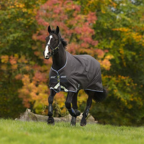 Horseware Amigo Bravo 12 100g Weichenteppich 125cm Excalibur/Blue & Black