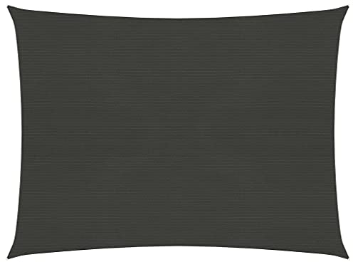 vidaXL Sonnensegel Sonnenschutz Windschutz Sonnendach UV Schutz Sonnenschutzsegel Schattenspender Garten Terrasse Balkon 160g/m² Anthrazit 2x2,5m HDPE