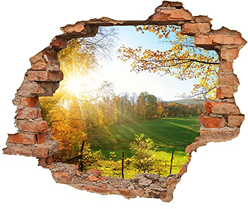 Wandtattoo - Wanddurchbruch mit Aussicht Waldlichtung 50 x 41 cm (BxH) - Wandsticker