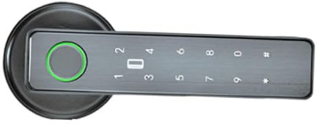 XLWLLNJ Cerradura de Puerta Digital con Entrada Mediante Código de Acceso y Dactilar para Interior, Hogar, Oficina, Gris