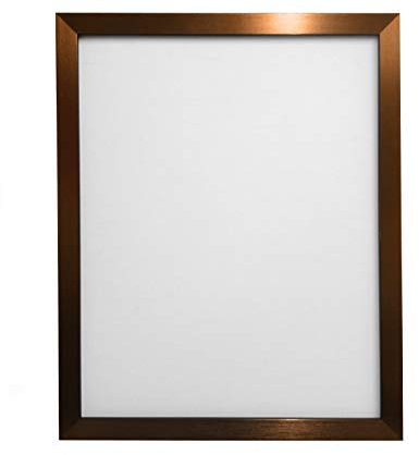 FRAMES BY POST 0.75 Inch Bronze Picture Photo Frame 18 x 12 Inch Plastic Glass