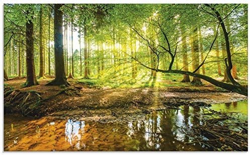 ARTLAND Spritzschutz Küchenrückwand Küche Herd Glas mit Motiv 100x60 cm Wald Natur Bäume Landschaft Sonne Sonnenuntergang Bach Grün T9IO