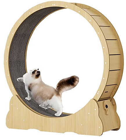 Holen Sie sich Ihre Katze mit einem sich drehenden Katzen zu bewegen, die laufen - Indoor-Katzenübung Laufband mit Teppichen und Naturholz-Finish - ideal für Katzengewichtsverlust und spielerischen