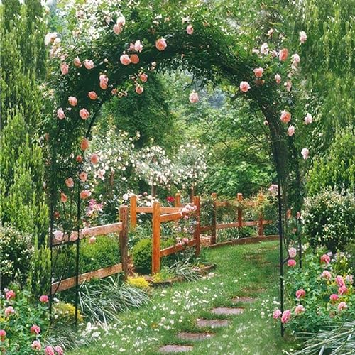 YOXALL Black steel garden Arbor wedding arch metal Arbour Pergola Tubular Frame Trellis archway for Climbing Plant Roses Vines 180cm 160cm 140cm 200cm 240cm Wide (Color : Black, Size : W180 x H220cm)