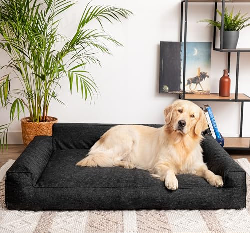 PillowPrim Hundebett, Haustiermatratze, Katzenbett, Hundekissen, Hundekorb, Hundesofa, Liegeplatz für Hund, Orthopädische, Asche, 55 cm, Schwarz, 78x53 cm