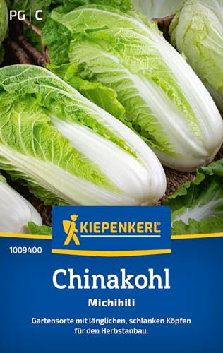 Kiepenkerl Chinakohlsamen Michihili 1009400 - Gemüsesamen für einen Chinakohl mit länglichen und schlanken Köpfen und einem Inhalt für 70 Pflanzen - Saatgut