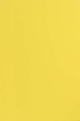 Netuno 100x Tonkarton Gelb DIN A4 210× 297 mm 210g Sirio Color Limone Feinkarton farbig Bastelkarton A4 Ton-Zeichen-Karton bunt hochwertig für DIY Projekte Visitenkarten