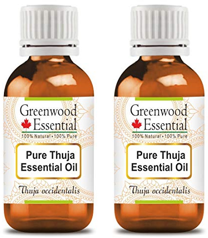 Greenwood Essential Pure Thuja Essential Oil (Thuja occidentalis) Steam Distilled 100ml x 2 (6.76 oz)