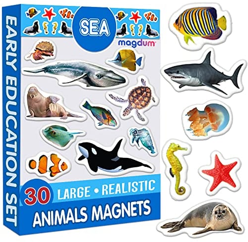 Magdum 30 MEERESTIERE Figuren Foto Magnete Kinder für magnettafel - Magnet Spielzeug Kinder - Kühlschrankmagnete Kinder - Kühlschrank Magnete Set Kinder -Spielzeug ab 3 Jahre - Lernspiele ab 3 Jahre