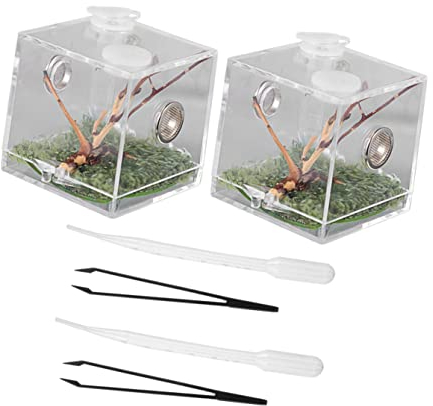 BCOATH 2Sätze Jumping Habitat Box aus Acryl Insektenfütterungsbox für Spinnen Terrarium für Spinnenhaltung und Zucht Box für Arachniden und Reptilien
